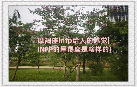 摩羯座infp给人的感觉(INFP的摩羯座是啥样的)