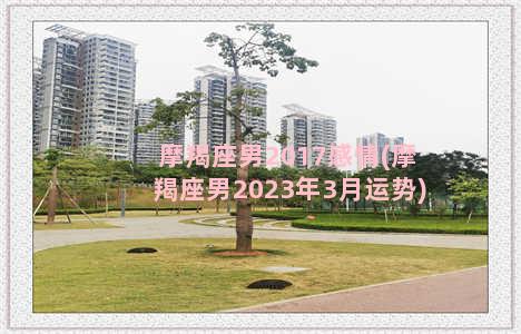 摩羯座男2017感情(摩羯座男2023年3月运势)