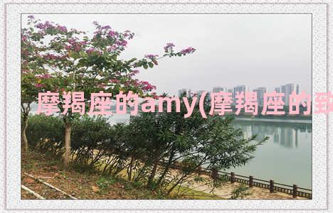 摩羯座的amy(摩羯座的致命弱点)