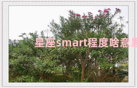 星座smart程度啥意思