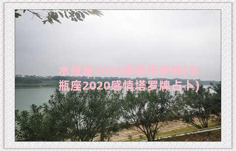 水瓶座2020感情塔罗牌(水瓶座2020感情塔罗牌占卜)