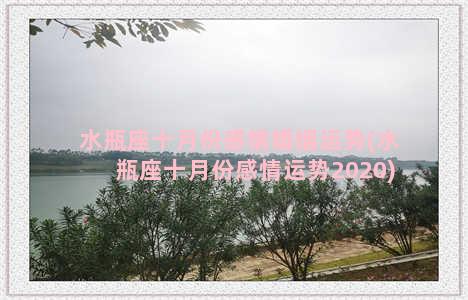 水瓶座十月份感情婚姻运势(水瓶座十月份感情运势2020)