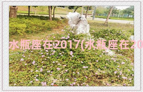 水瓶座在2017(水瓶座在2024年的运势)