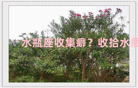 水瓶座收集癖？收拾水瓶座