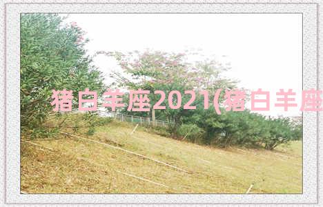 猪白羊座2021(猪白羊座运势)