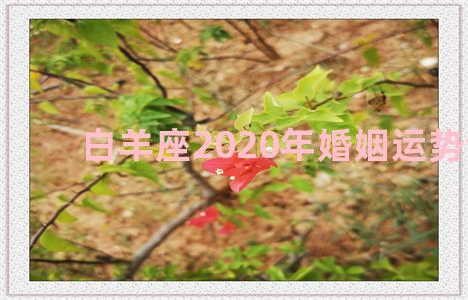 白羊座2020年婚姻运势详解