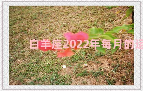 白羊座2022年每月的运势