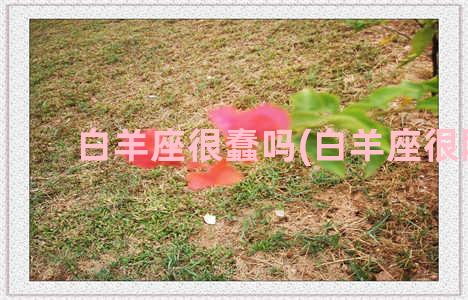 白羊座很蠢吗(白羊座很刚)