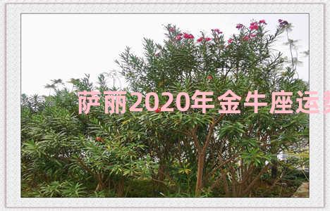 萨丽2020年金牛座运势