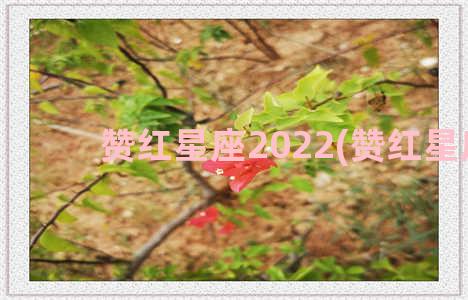 赞红星座2022(赞红星座)