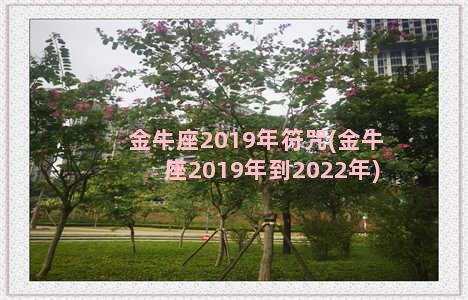 金牛座2019年符咒(金牛座2019年到2022年)