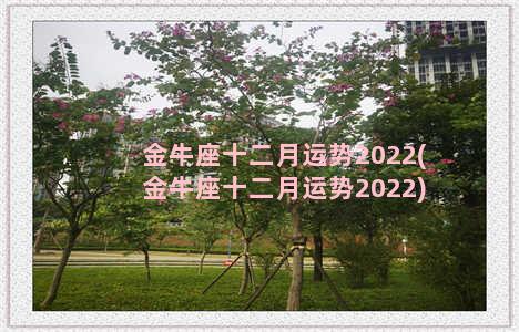 金牛座十二月运势2022(金牛座十二月运势2022)