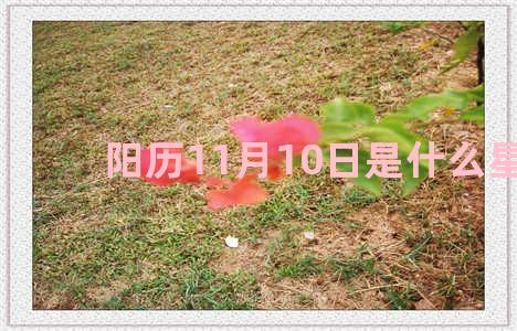 阳历11月10日是什么星座