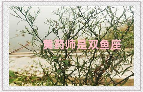 黄药师是双鱼座