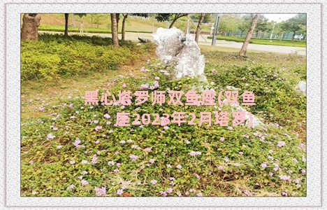 黑心塔罗师双鱼座(双鱼座2023年2月塔罗)